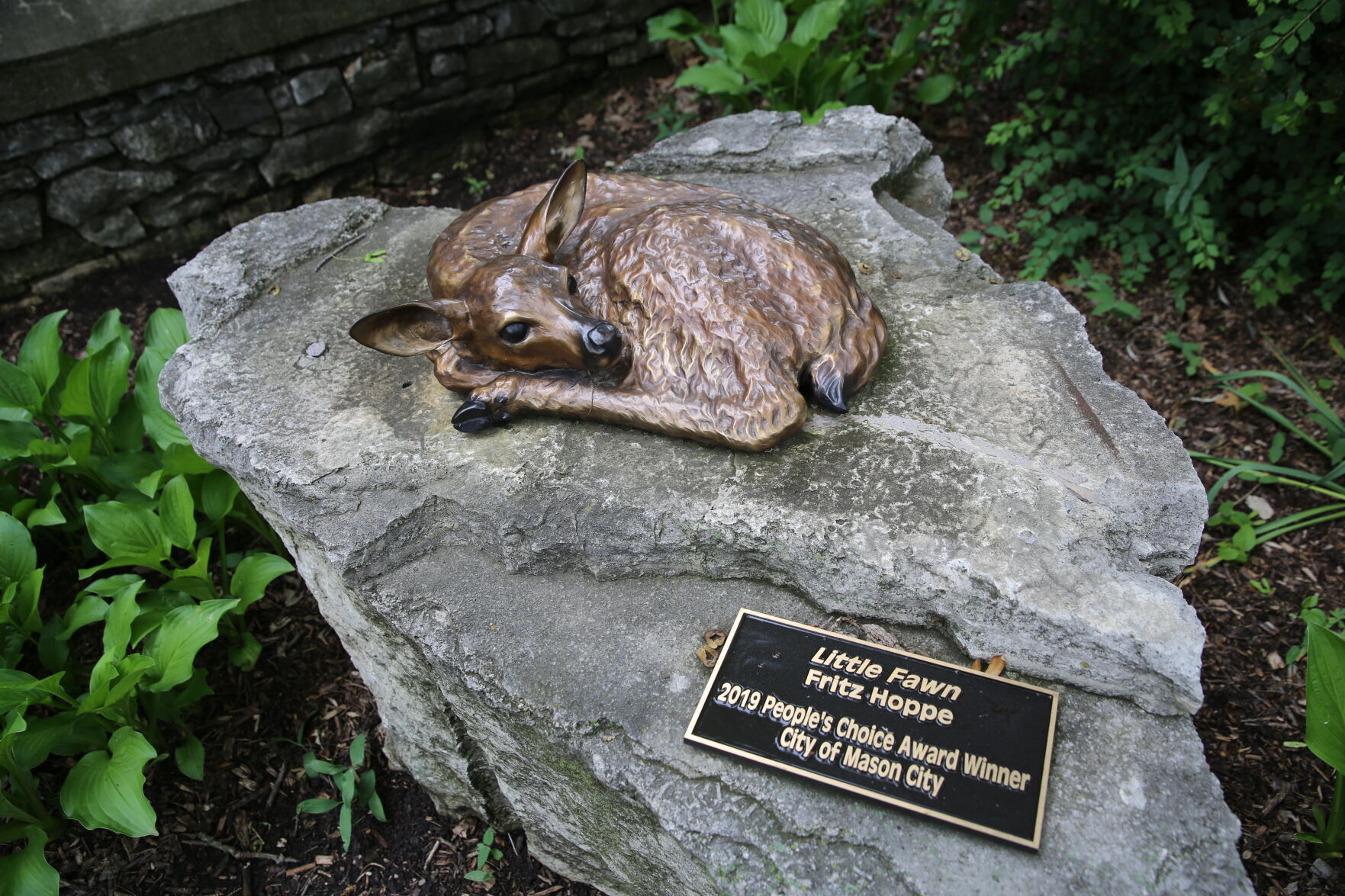 Little Fawn